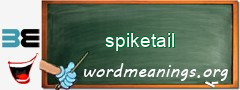 WordMeaning blackboard for spiketail